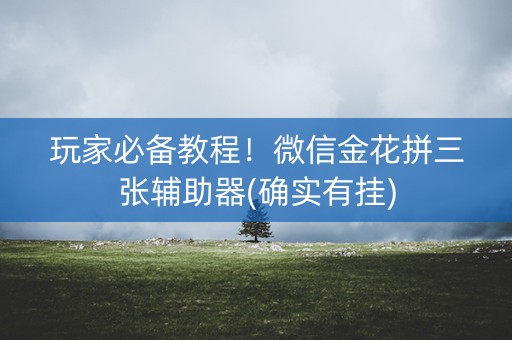 玩家必备教程！微信金花拼三张辅助器(确实有挂)