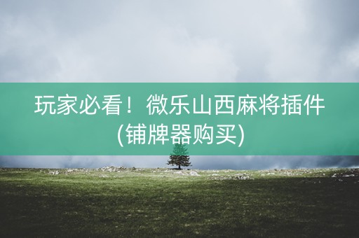 玩家必看！微乐山西麻将插件(铺牌器购买)