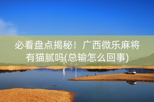 必看盘点揭秘！广西微乐麻将有猫腻吗(总输怎么回事)