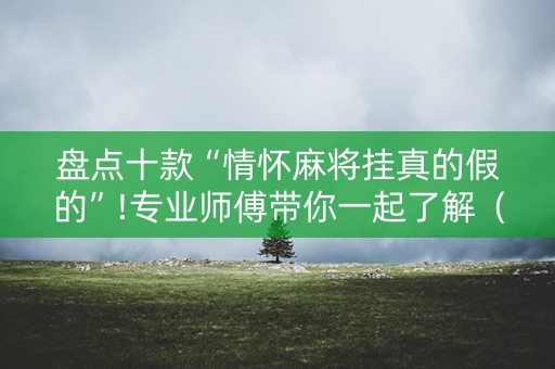 盘点十款“情怀麻将挂真的假的”!专业师傅带你一起了解（详细教程）-知乎