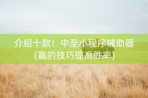 介绍十款！中至小程序辅助器(赢的技巧提高胜率)