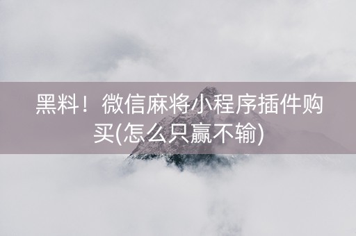 黑料！微信麻将小程序插件购买(怎么只赢不输)