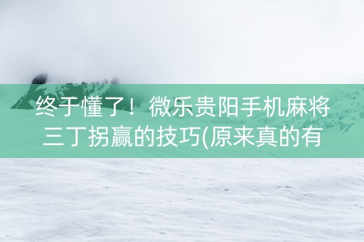 终于懂了！微乐贵阳手机麻将三丁拐赢的技巧(原来真的有挂)