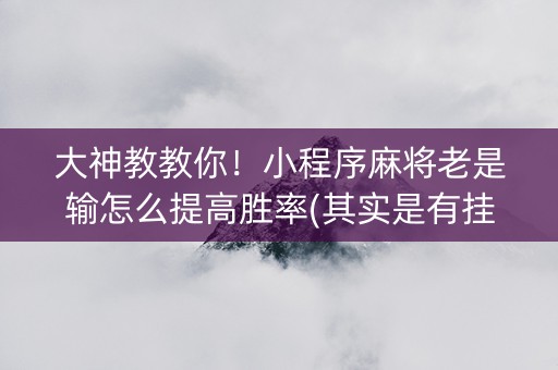 大神教教你！小程序麻将老是输怎么提高胜率(其实是有挂确实有挂)