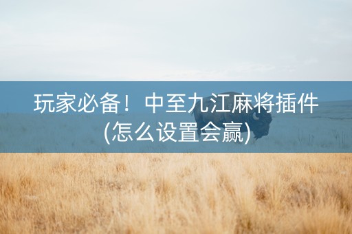 玩家必备！中至九江麻将插件(怎么设置会赢)