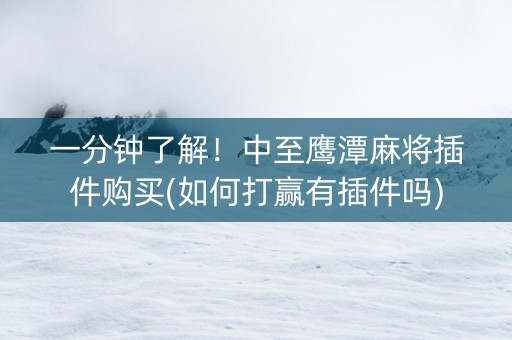 一分钟了解！中至鹰潭麻将插件购买(如何打赢有插件吗)