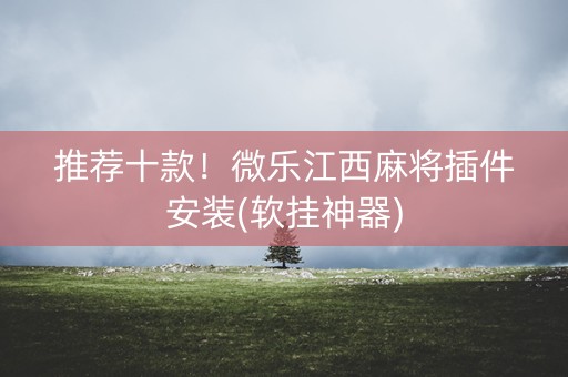推荐十款！微乐江西麻将插件安装(软挂神器)