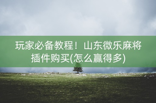 玩家必备教程！山东微乐麻将插件购买(怎么赢得多)