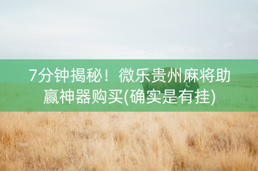 7分钟揭秘！微乐贵州麻将助赢神器购买(确实是有挂)