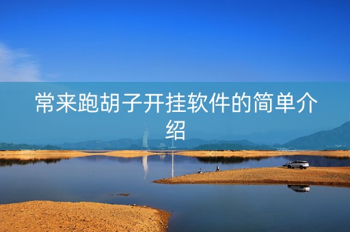 常来跑胡子开挂软件的简单介绍