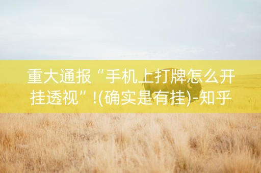 重大通报“手机上打牌怎么开挂透视”!(确实是有挂)-知乎
