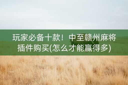 玩家必备十款！中至赣州麻将插件购买(怎么才能赢得多)