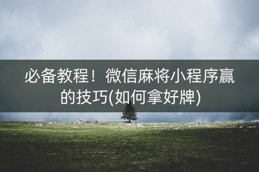 必备教程！微信麻将小程序赢的技巧(如何拿好牌)