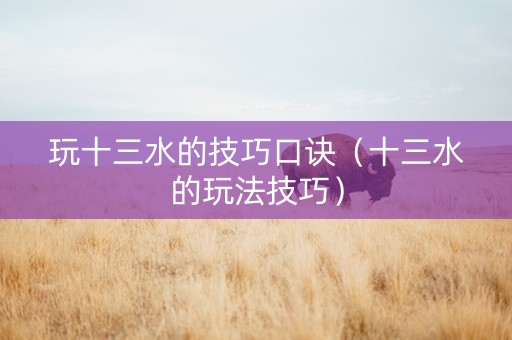 玩十三水的技巧口诀（十三水的玩法技巧）