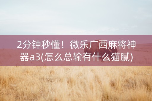 2分钟秒懂！微乐广西麻将神器a3(怎么总输有什么猫腻)