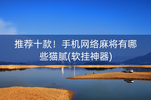 推荐十款！手机网络麻将有哪些猫腻(软挂神器)