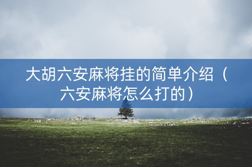 大胡六安麻将挂的简单介绍（六安麻将怎么打的）