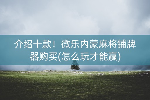 介绍十款！微乐内蒙麻将铺牌器购买(怎么玩才能赢)