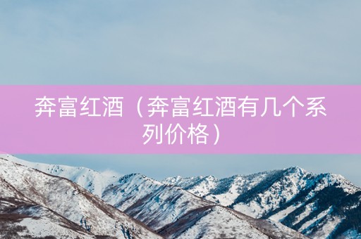 奔富红酒（奔富红酒有几个系列价格）