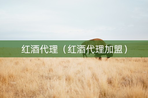 红酒代理（红酒代理加盟）