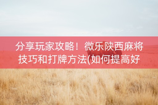 分享玩家攻略！微乐陕西麻将技巧和打牌方法(如何提高好牌几率)