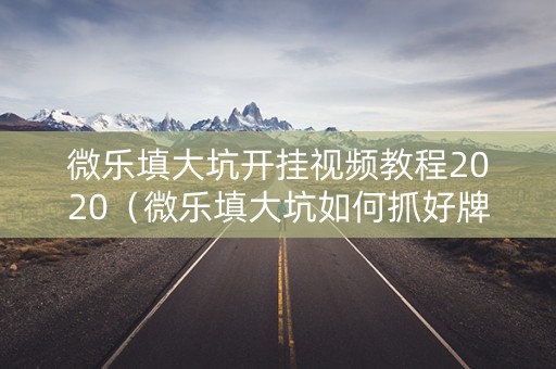 微乐填大坑开挂视频教程2020（微乐填大坑如何抓好牌）