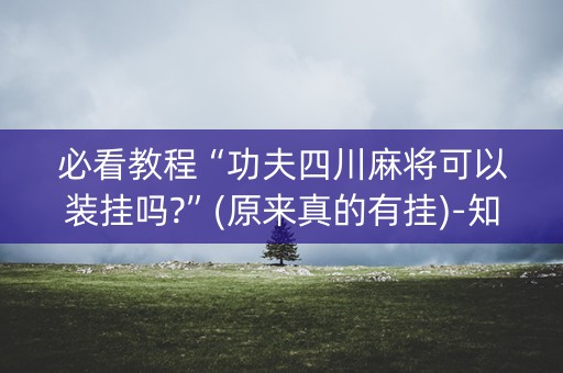 必看教程“功夫四川麻将可以装挂吗?”(原来真的有挂)-知乎