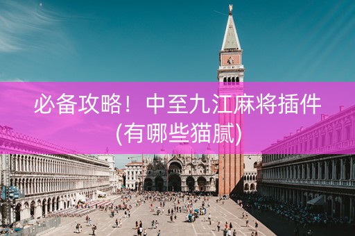 必备攻略！中至九江麻将插件(有哪些猫腻)