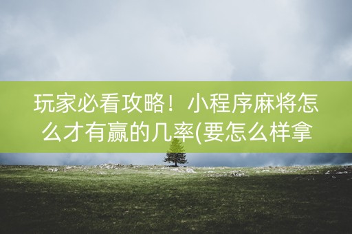 玩家必看攻略！小程序麻将怎么才有赢的几率(要怎么样拿到好牌)