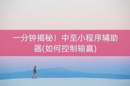 一分钟揭秘！中至小程序辅助器(如何控制输赢)