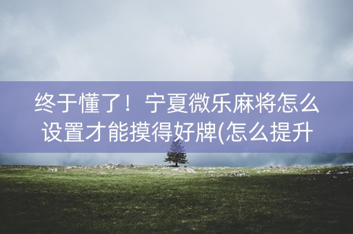 终于懂了！宁夏微乐麻将怎么设置才能摸得好牌(怎么提升胜率)