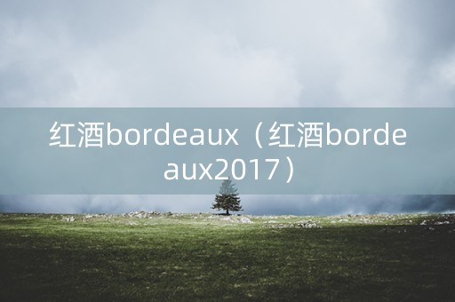 红酒bordeaux（红酒bordeaux2017）