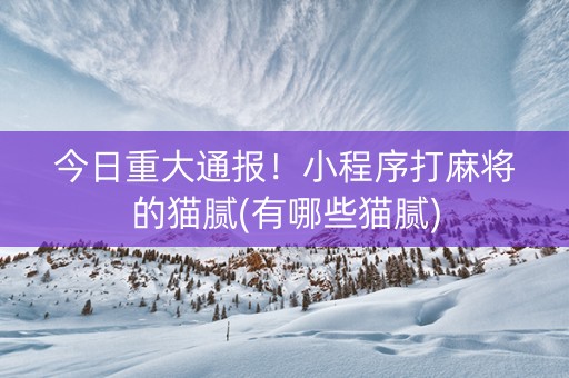 今日重大通报！小程序打麻将的猫腻(有哪些猫腻)