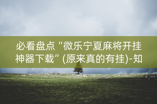 必看盘点“微乐宁夏麻将开挂神器下载”(原来真的有挂)-知乎