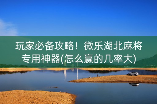 玩家必备攻略！微乐湖北麻将专用神器(怎么赢的几率大)