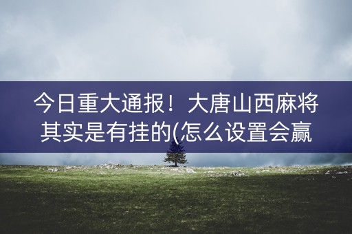 今日重大通报！大唐山西麻将其实是有挂的(怎么设置会赢)