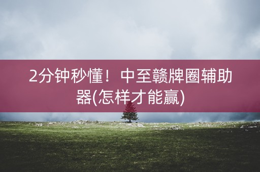 2分钟秒懂！中至赣牌圈辅助器(怎样才能赢)