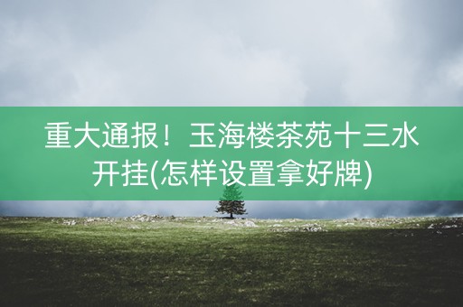 重大通报！玉海楼茶苑十三水开挂(怎样设置拿好牌)