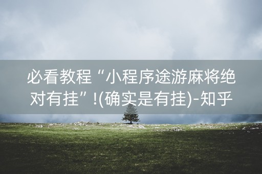 必看教程“小程序途游麻将绝对有挂”!(确实是有挂)-知乎