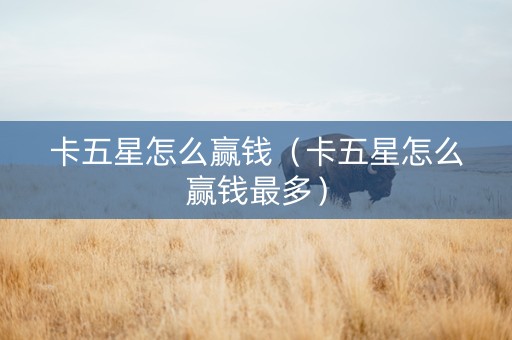 卡五星怎么赢钱（卡五星怎么赢钱最多）