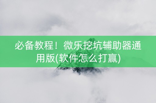 必备教程！微乐挖坑辅助器通用版(软件怎么打赢)