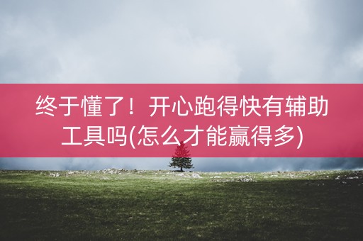 终于懂了！开心跑得快有辅助工具吗(怎么才能赢得多)