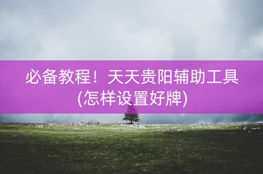 必备教程！天天贵阳辅助工具(怎样设置好牌)