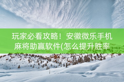 玩家必看攻略！安徽微乐手机麻将助赢软件(怎么提升胜率)