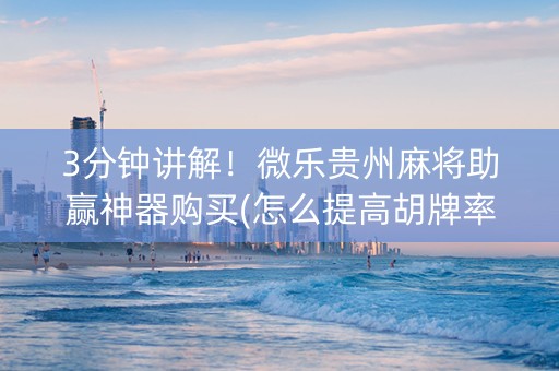 3分钟讲解！微乐贵州麻将助赢神器购买(怎么提高胡牌率)