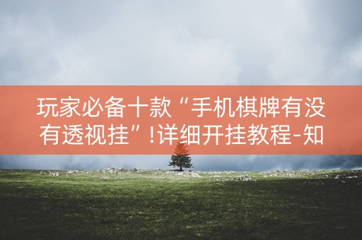 玩家必备十款“手机棋牌有没有透视挂”!详细开挂教程-知乎