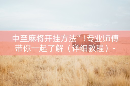 中至麻将开挂方法”!专业师傅带你一起了解（详细教程）-知乎