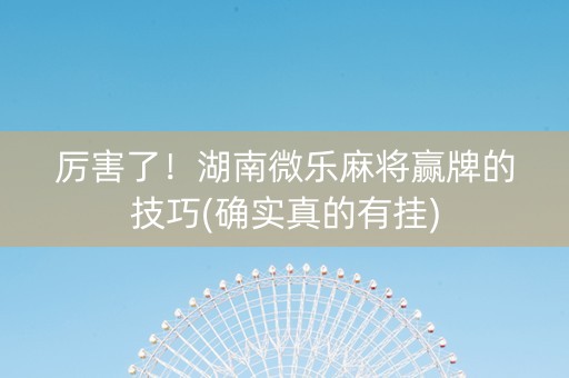 厉害了！湖南微乐麻将赢牌的技巧(确实真的有挂)