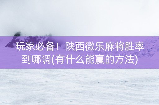 玩家必备！陕西微乐麻将胜率到哪调(有什么能赢的方法)