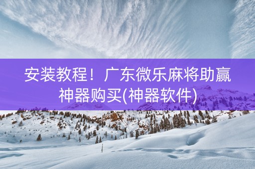 安装教程！广东微乐麻将助赢神器购买(神器软件)